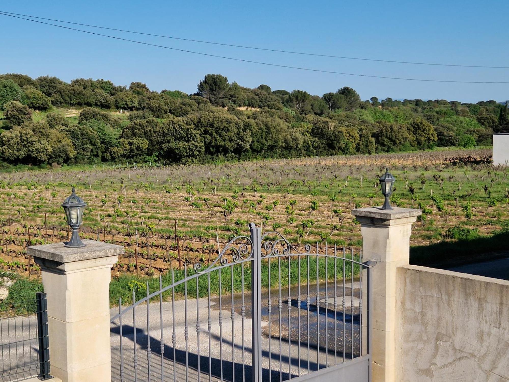 Le Cabanon De Lea Daire Tavel Dış mekan fotoğraf